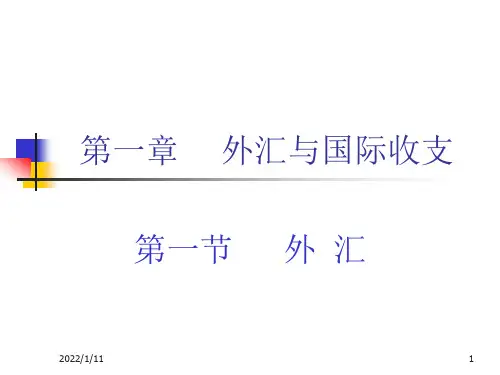 专题资料（2021-2022年）1 外汇与国际收支