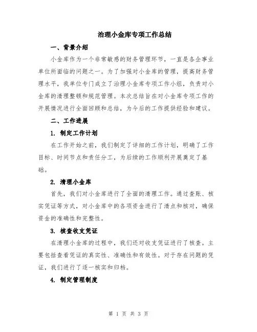 治理小金库专项工作总结