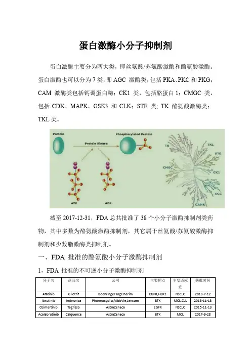 蛋白激酶小分子抑制剂