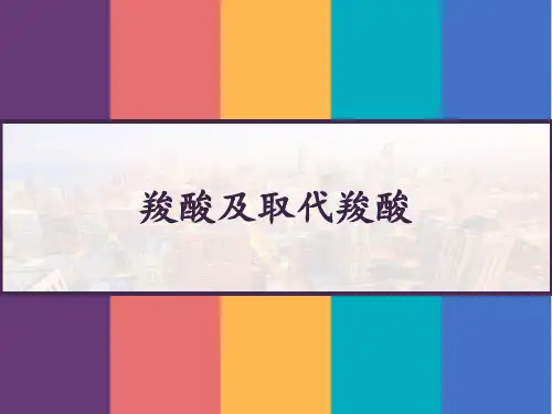 羧酸及取代羧酸 PPT