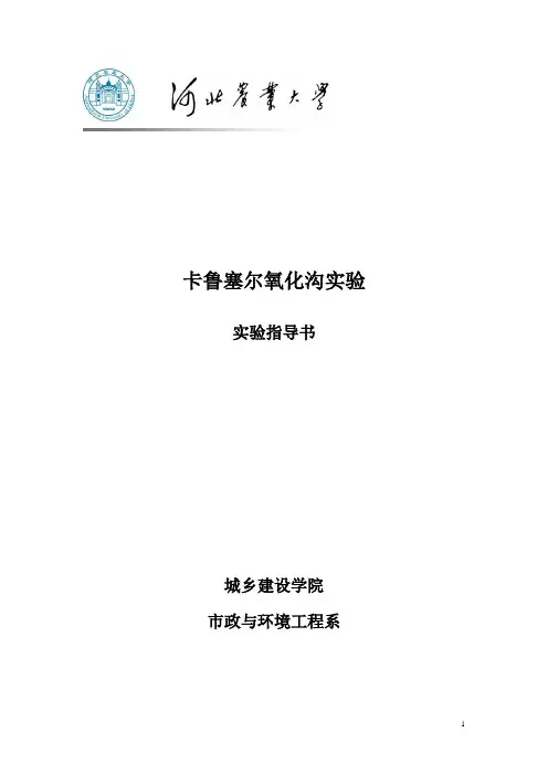 卡鲁塞尔氧化沟