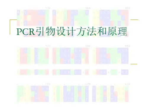 PCR引物设计方法和原理
