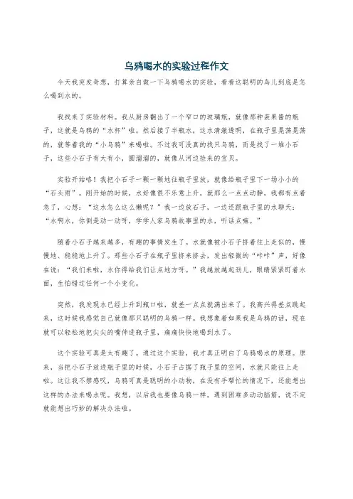 乌鸦喝水的实验过程作文