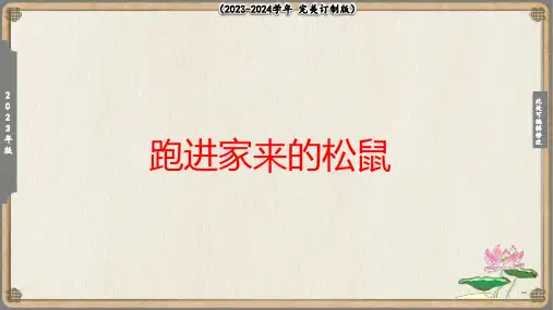 《跑进家来的松鼠》课件(共12张PPT)
