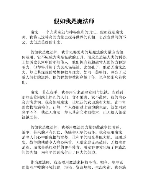 假如我是魔法师