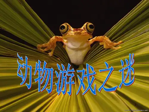 《动物游戏之谜》优秀ppt课件