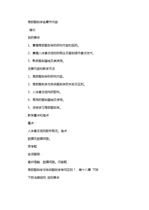 局部解剖学各章节内容
