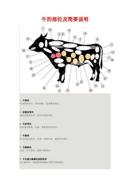 牛的部位及简要说明