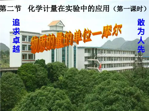 《物质的量》PPT【人教版】1