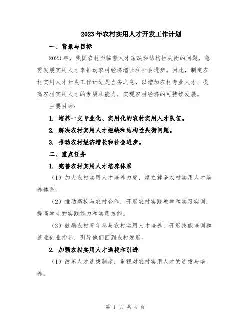 2023年农村实用人才开发工作计划