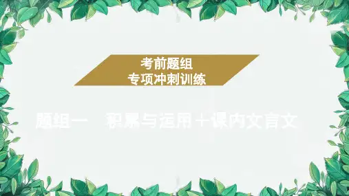 2023年中考语文复习 考前冲刺训练(十一) 课件(共13张PPT)
