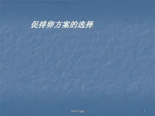 促排方案PPT课件