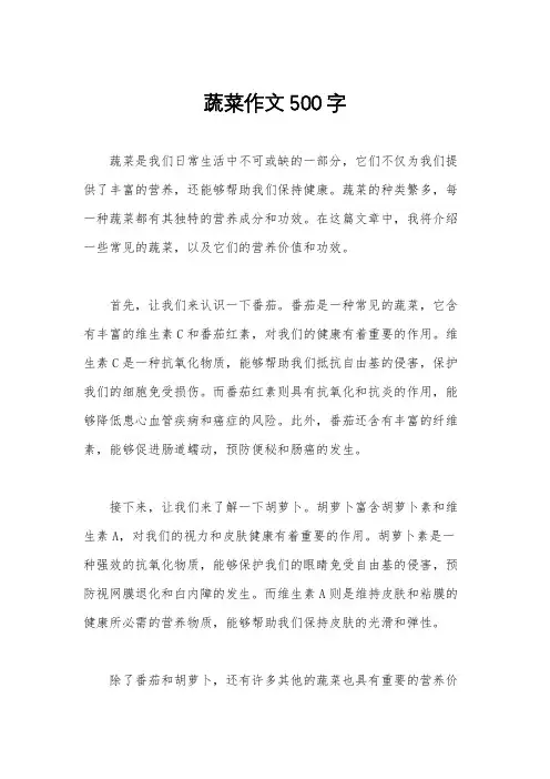 蔬菜作文500字