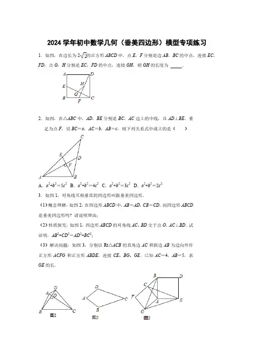 2024学年初中数学几何(垂美四边形)模型专项练习(附答案)