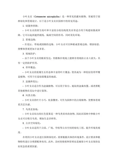 小叶女贞园林用途