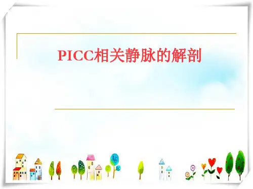 PICC相关静脉的解剖-课件