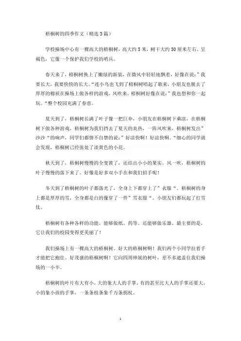 梧桐树的四季作文(最新)