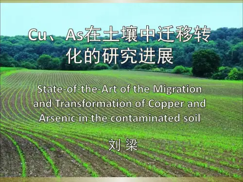铜、砷在土壤中的迁移转化ppt课件