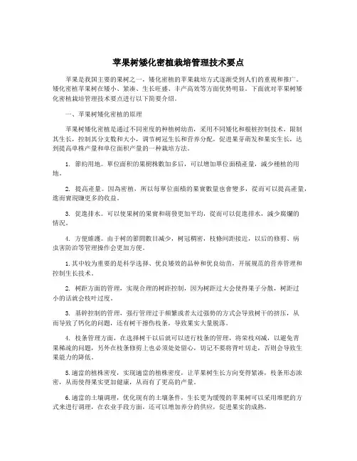 苹果树矮化密植栽培管理技术要点