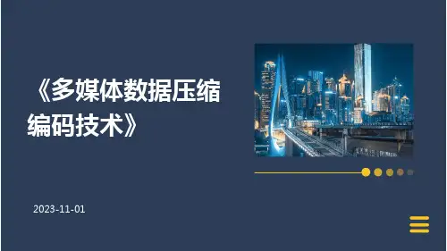多媒体数据压缩编码技术