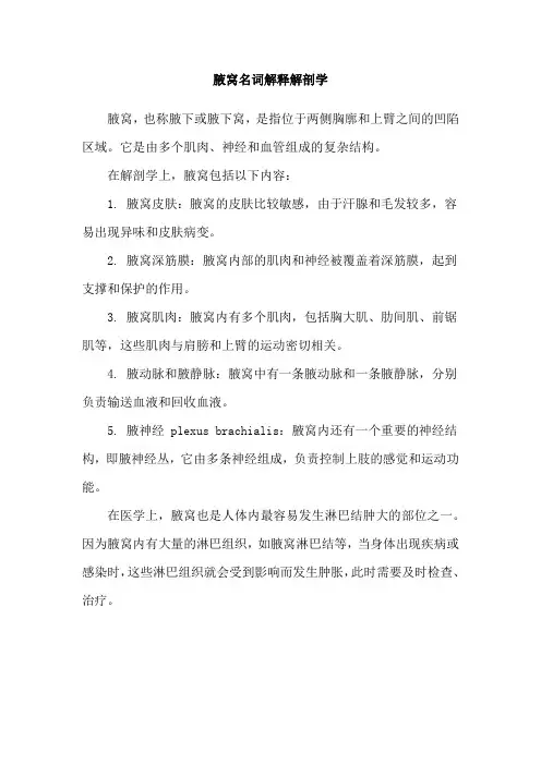 腋窝名词解释解剖学