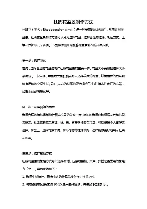 杜鹃花盆景制作方法