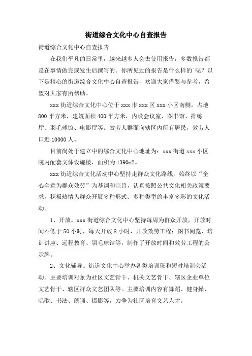 街道综合文化中心自查报告