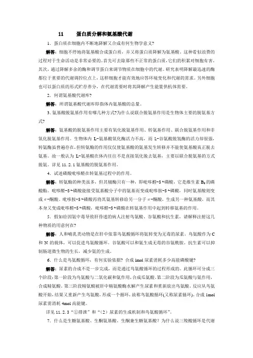 【生物化学简明教程】第四版11章 蛋白质分解和氨基酸代谢