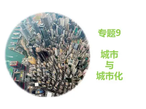 专题九：城市与城市化