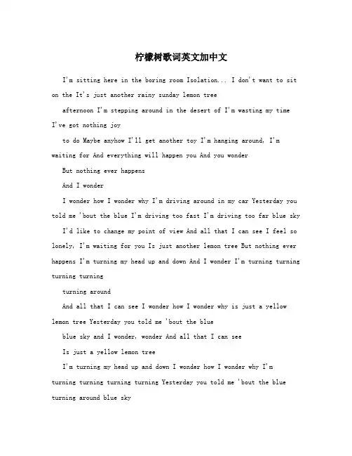 柠檬树歌词英文加中文