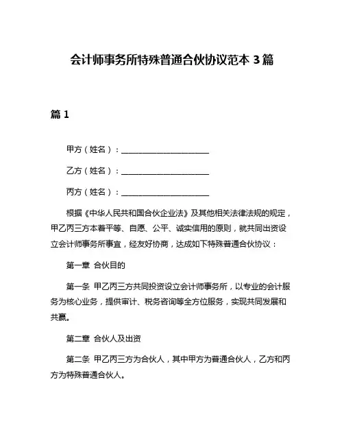 会计师事务所特殊普通合伙协议范本3篇
