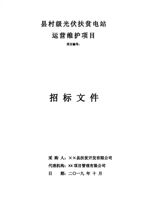 村级光伏扶贫电站运营维护项目招标文件【模板】