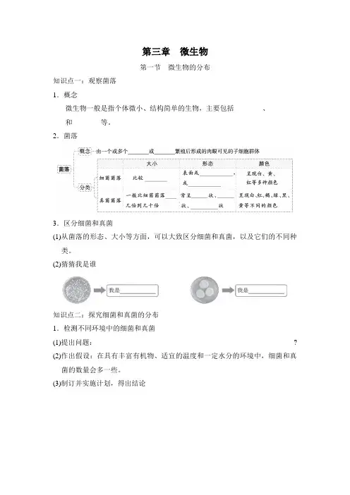 2.3 微生物    同步训练(预习) 2024-2025学年度新人教版生物七年级上册