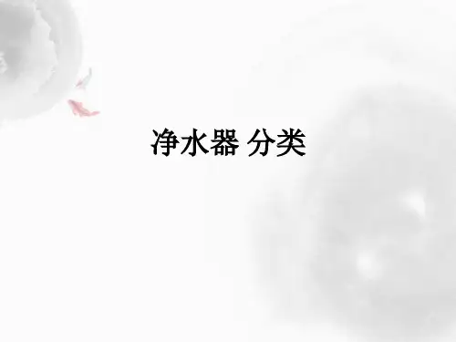 净水器 分类ppt课件