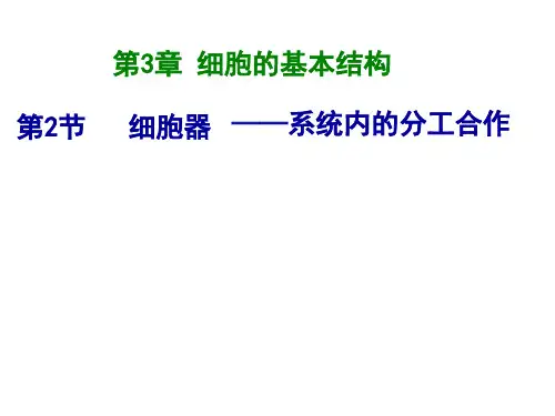 人教版生物必修一3.2细胞器