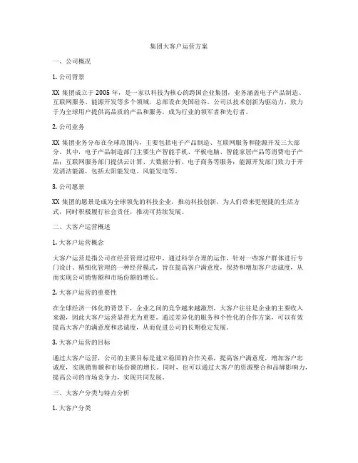 集团大客户运营方案
