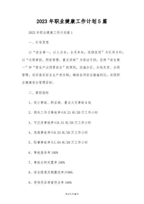 2023年职业健康工作计划5篇