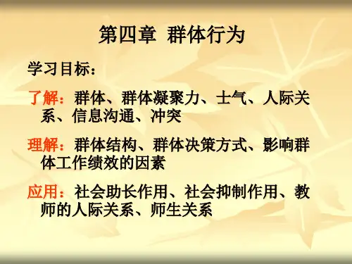 组织行为学群体