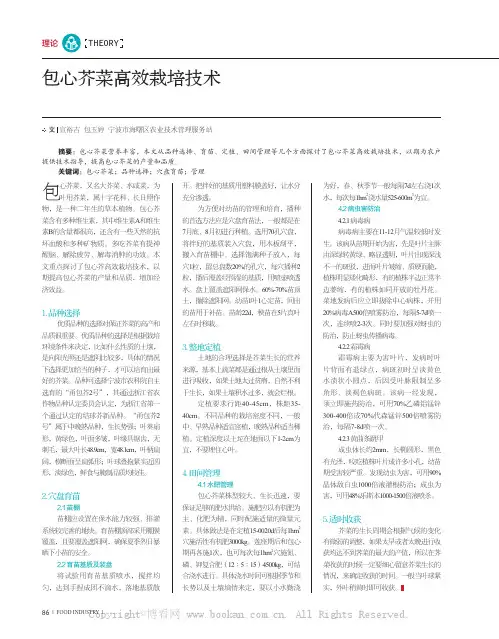 包心芥菜高效栽培技术