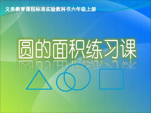圆的面积练习PPT课件
