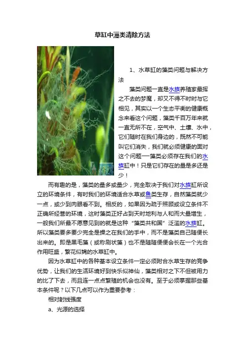 草缸中藻类清除方法
