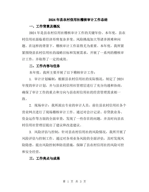 2024年县农村信用社稽核审计工作总结