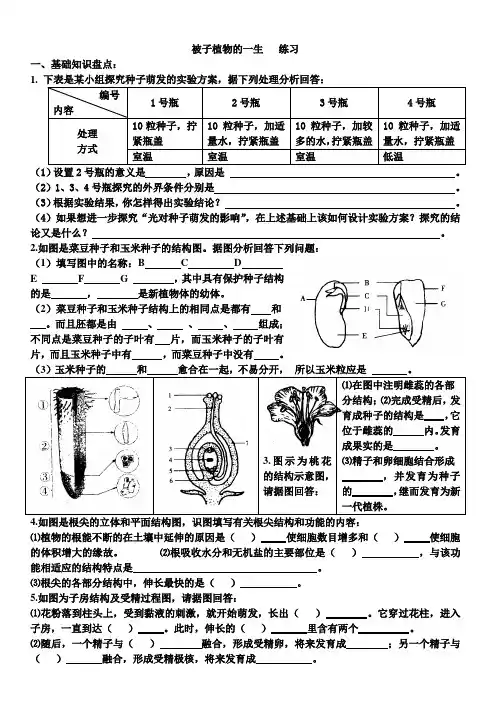 被子植物的一生习题