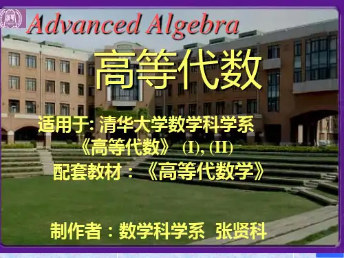 清华电子教材-高等代数1