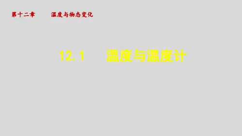 1 《温度与温度计》课件 九年级物理