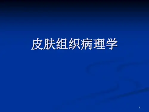 皮肤组织病理学课件