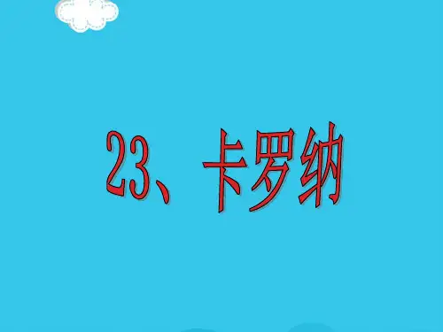 卡罗纳ppt(实用资料)ppt