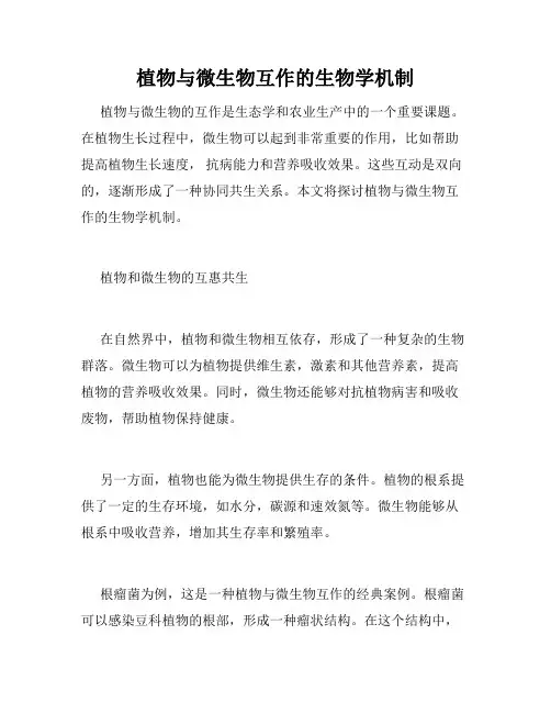 植物与微生物互作的生物学机制