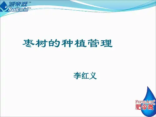 枣树种植管理1