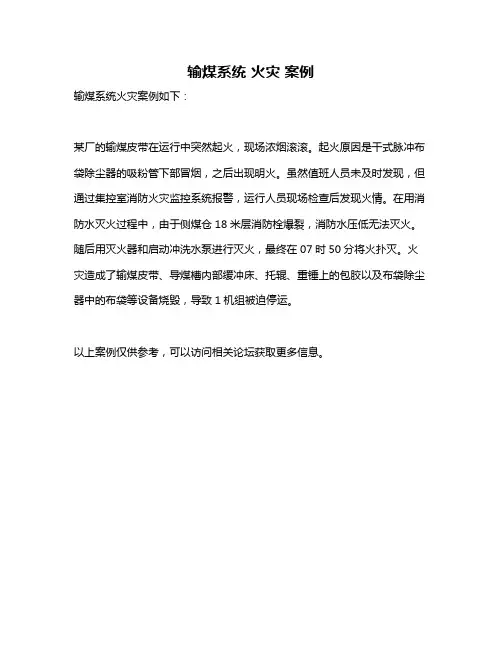 输煤系统 火灾 案例